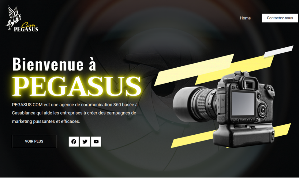Homepage of the PEGASUS COM website